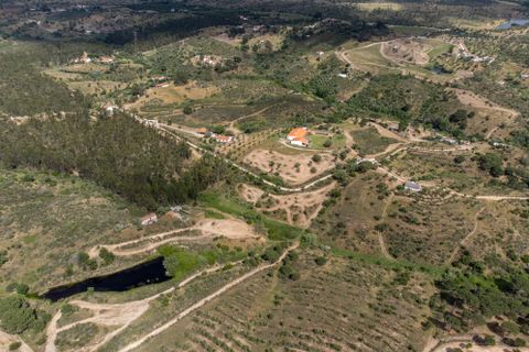 Finca i Avis, Portalegre, Avis - € 750.000 | Ref: 120121142213-73 - foto 33